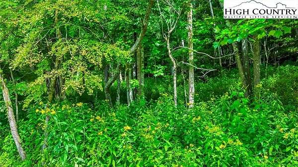 1.28 Acres of Land for Sale in Fleetwood, North Carolina