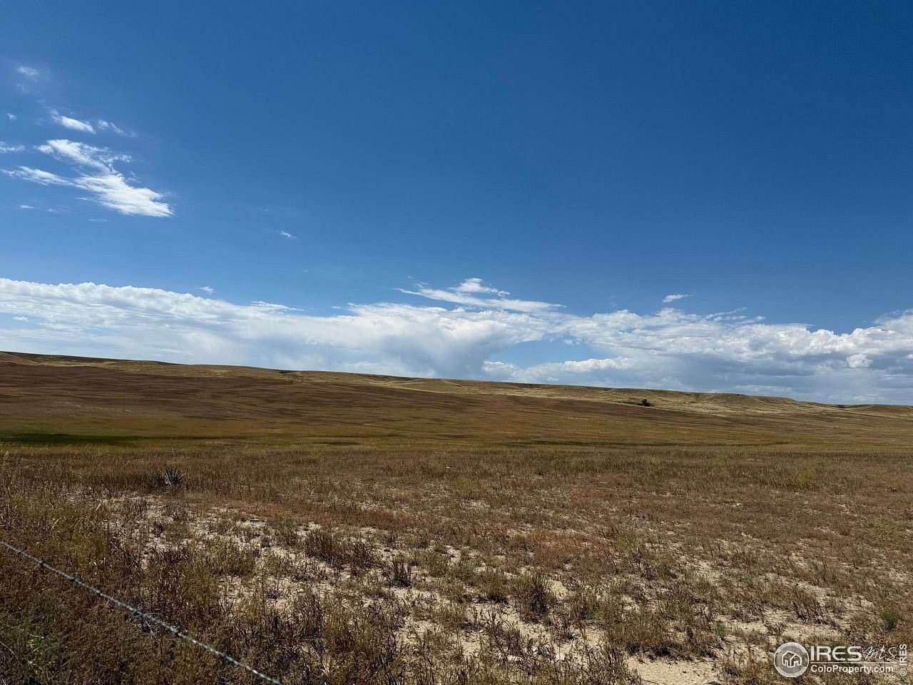 35 Acres of Land for Sale in Carr, Colorado