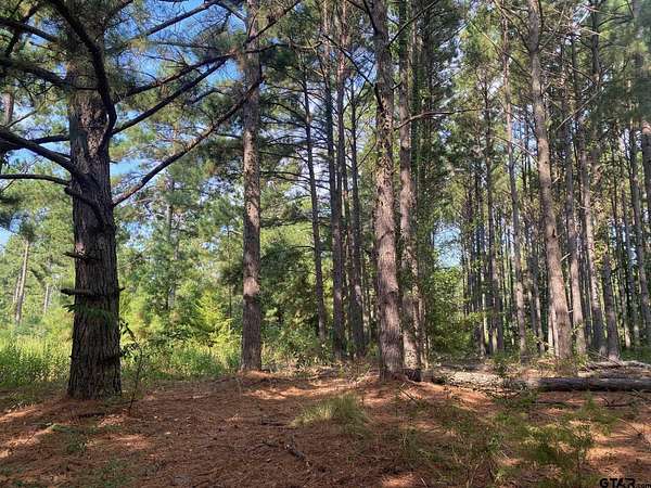 2 Acres of Residential Land for Sale in Tyler, Texas