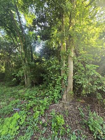 0.06 Acres of Residential Land for Sale in Henderson, Texas