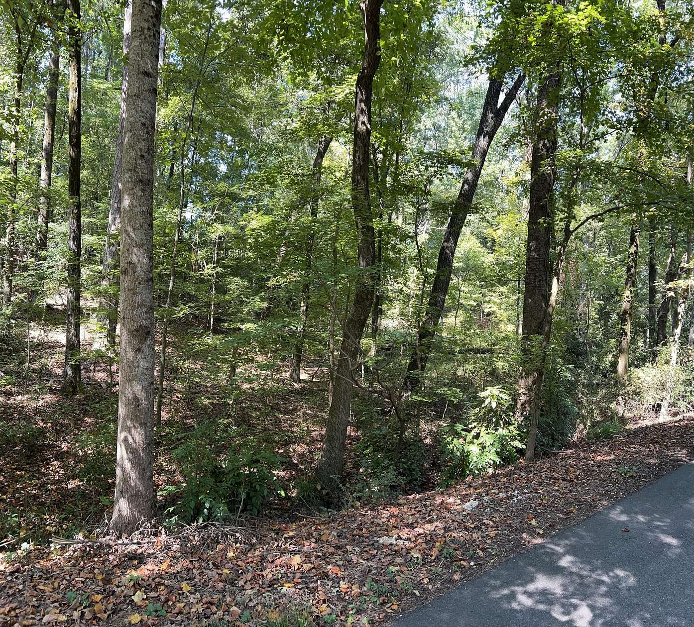 1.1 Acres of Residential Land for Sale in Columbus, Mississippi