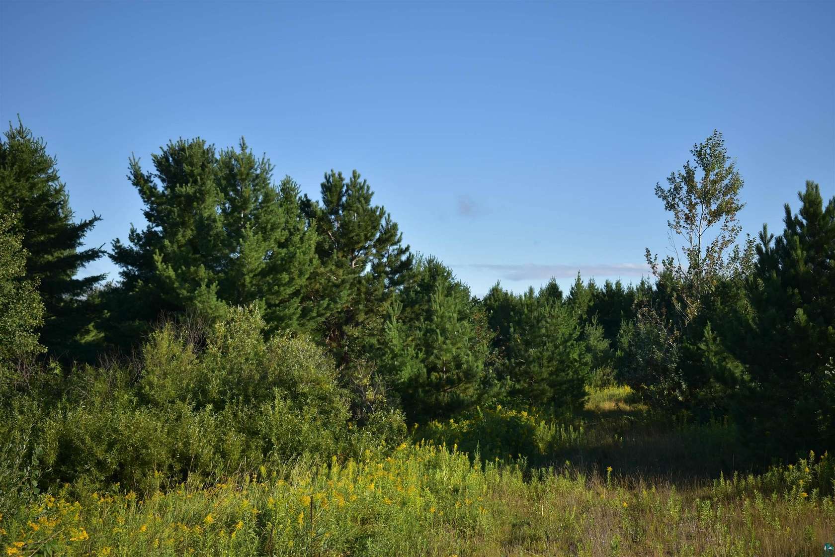 29.6 Acres of Recreational & Residential Land for Sale in Washburn, Wisconsin