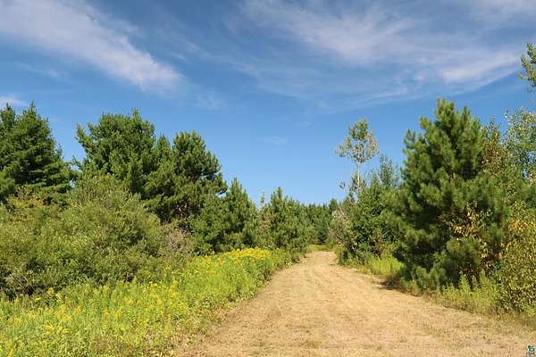 29.6 Acres of Recreational & Residential Land for Sale in Washburn, Wisconsin