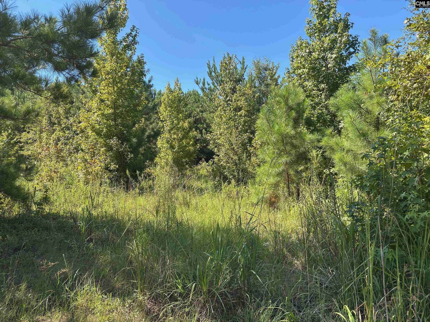 1.34 Acres of Land for Sale in Blythewood, South Carolina