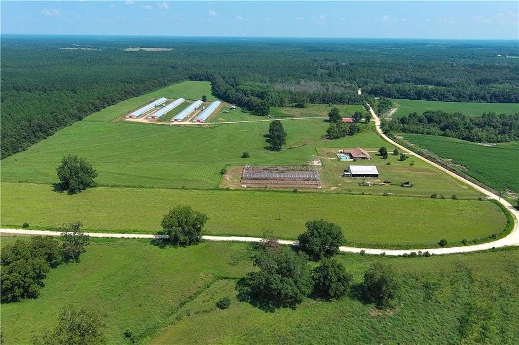 38 Acres of Land for Sale in Florala, Alabama