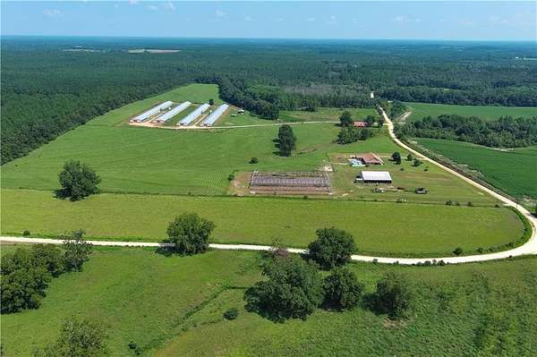 38 Acres of Land for Sale in Florala, Alabama
