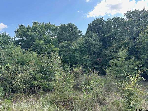 0.72 Acres of Residential Land for Sale in Alba, Texas