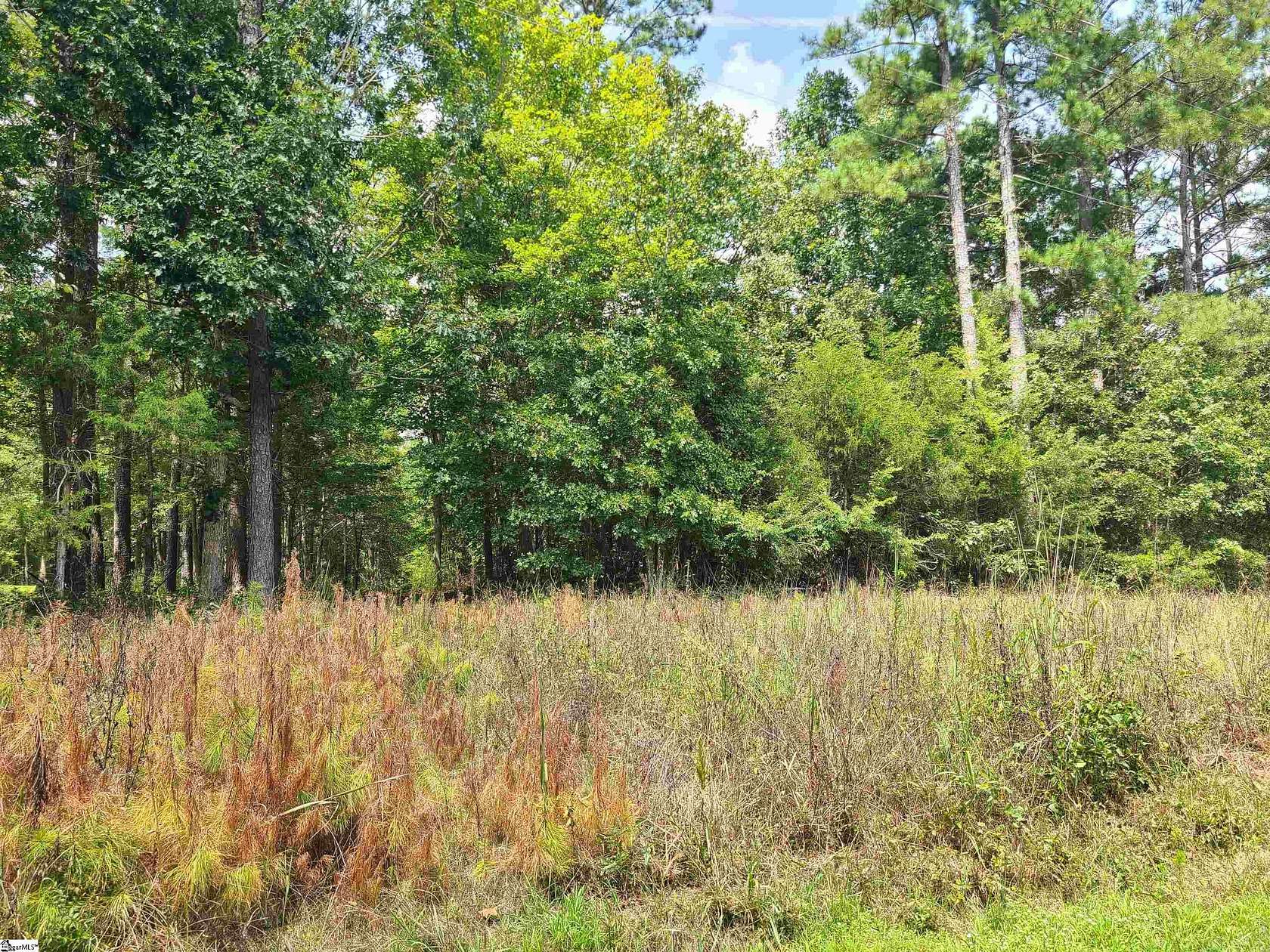 12.2 Acres of Land for Sale in Waterloo, South Carolina