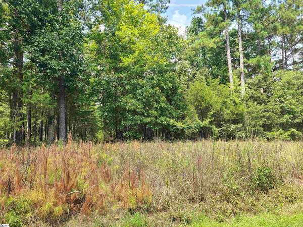 12.2 Acres of Land for Sale in Waterloo, South Carolina