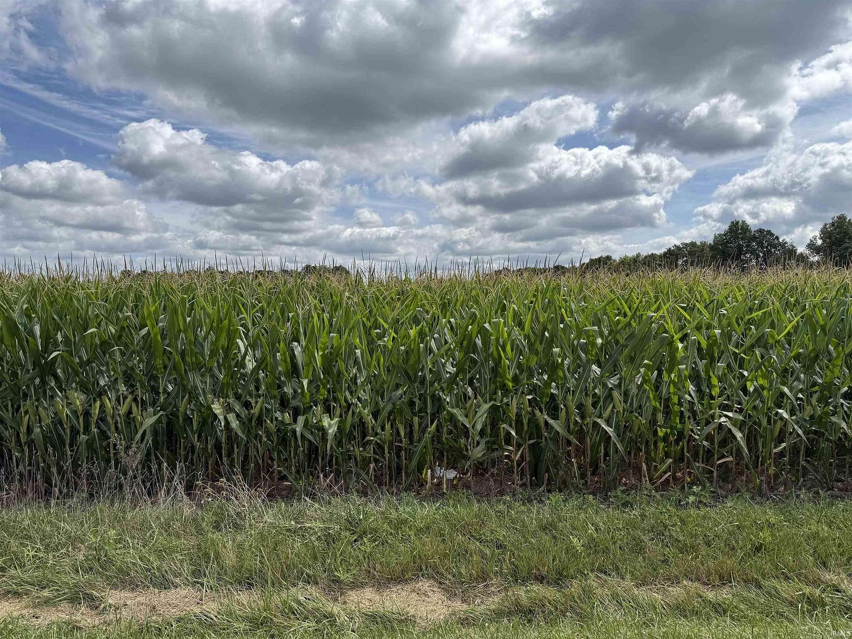 4 Acres of Land for Sale in Decatur, Indiana