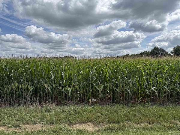 4 Acres of Land for Sale in Decatur, Indiana