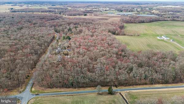 11.6 Acres of Land for Sale in Hartly, Delaware