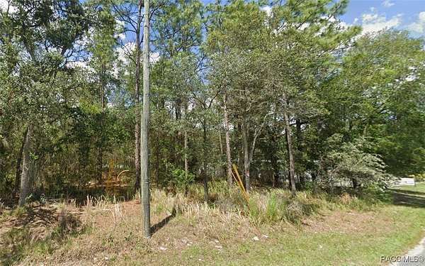 0.2 Acres of Commercial Land for Sale in Inverness, Florida