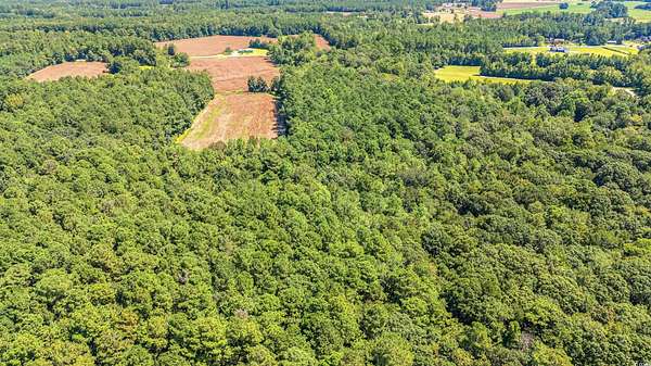 22 Acres of Agricultural Land for Sale in Loris, South Carolina