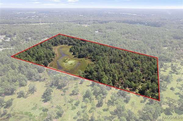 20 Acres of Recreational Land for Sale in Crystal River, Florida