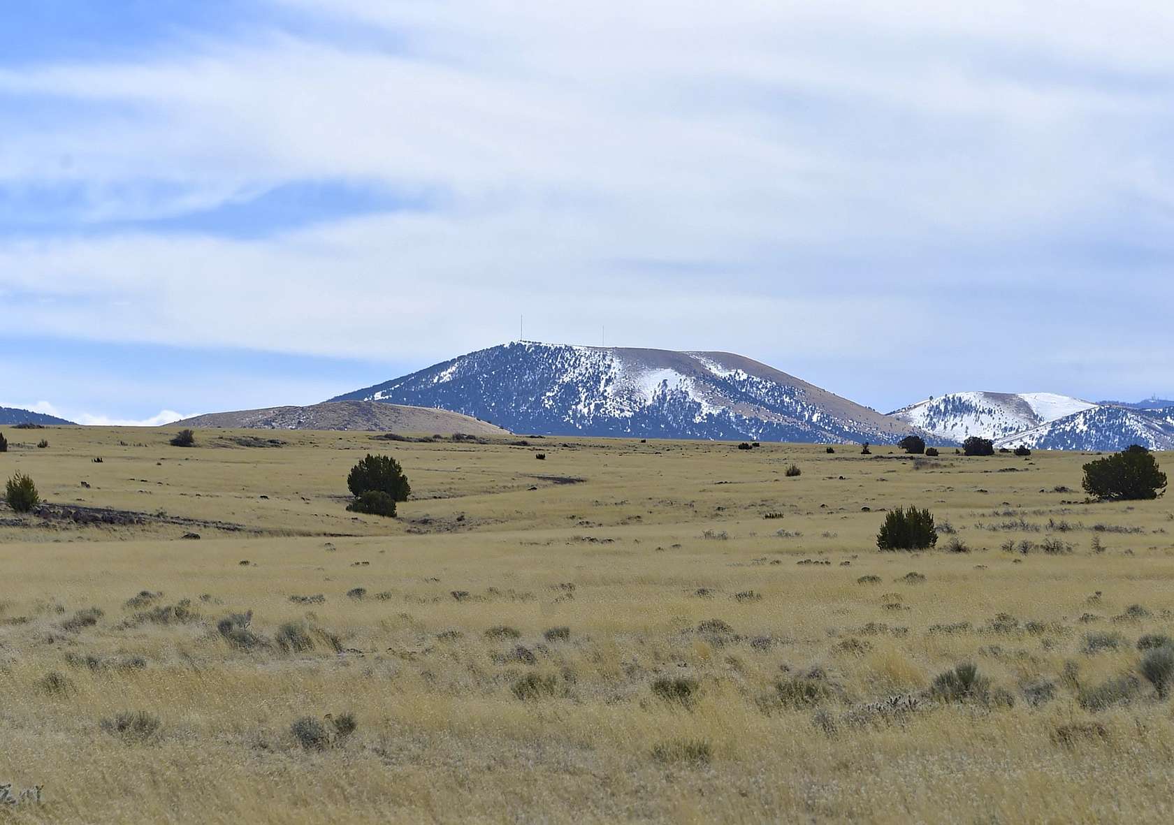 1 Acre of Residential Land for Sale in Concho, Arizona