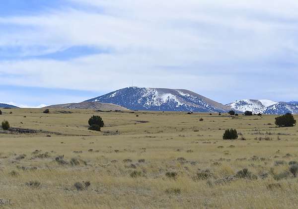 1 Acre of Residential Land for Sale in Concho, Arizona