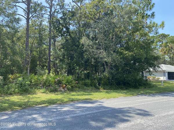 0.27 Acres of Residential Land for Sale in Homosassa, Florida