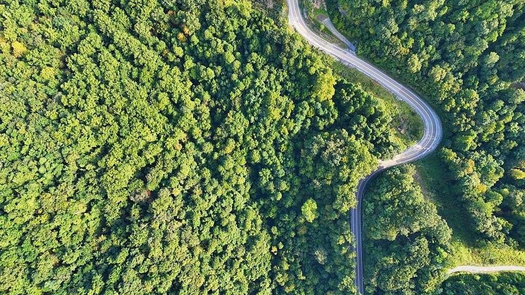 Land for Sale in Cyclone, West Virginia