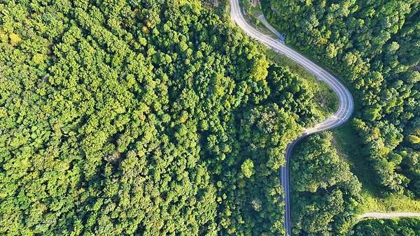 Land for Sale in Cyclone, West Virginia