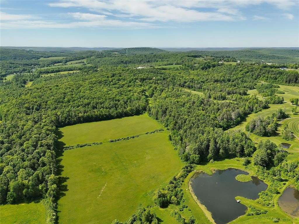 82 Acres of Land for Sale in Owego, New York