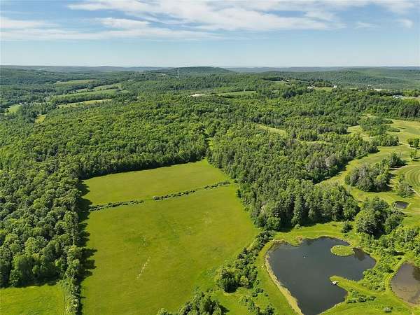 82 Acres of Land for Sale in Owego, New York
