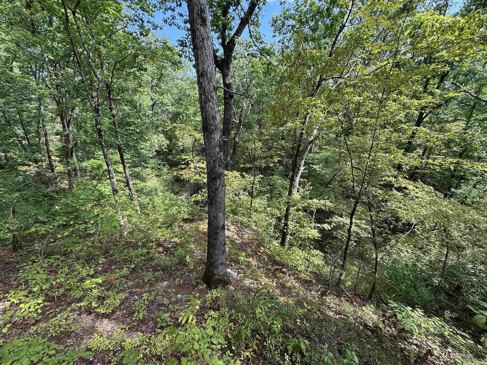 0.52 Acres of Residential Land for Sale in Hot Springs Village, Arkansas