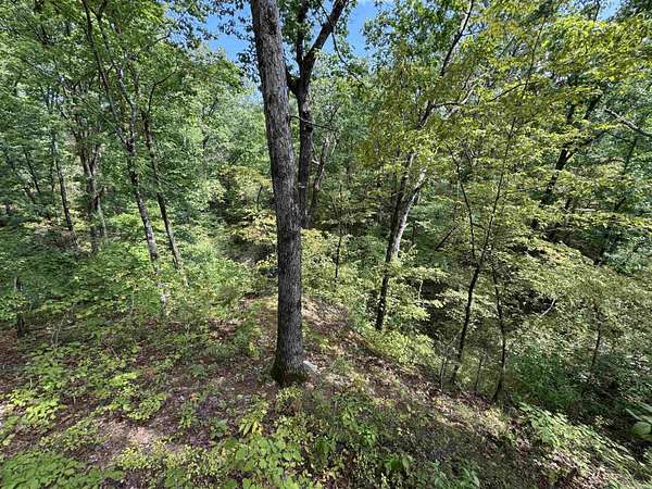 0.52 Acres of Residential Land for Sale in Hot Springs Village, Arkansas