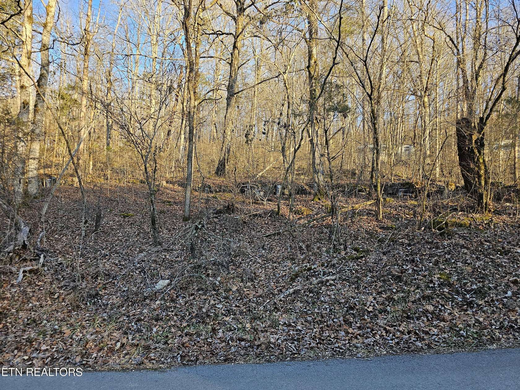 0.48 Acres of Land for Sale in Speedwell, Tennessee