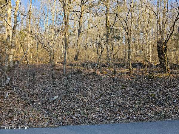 0.48 Acres of Land for Sale in Speedwell, Tennessee
