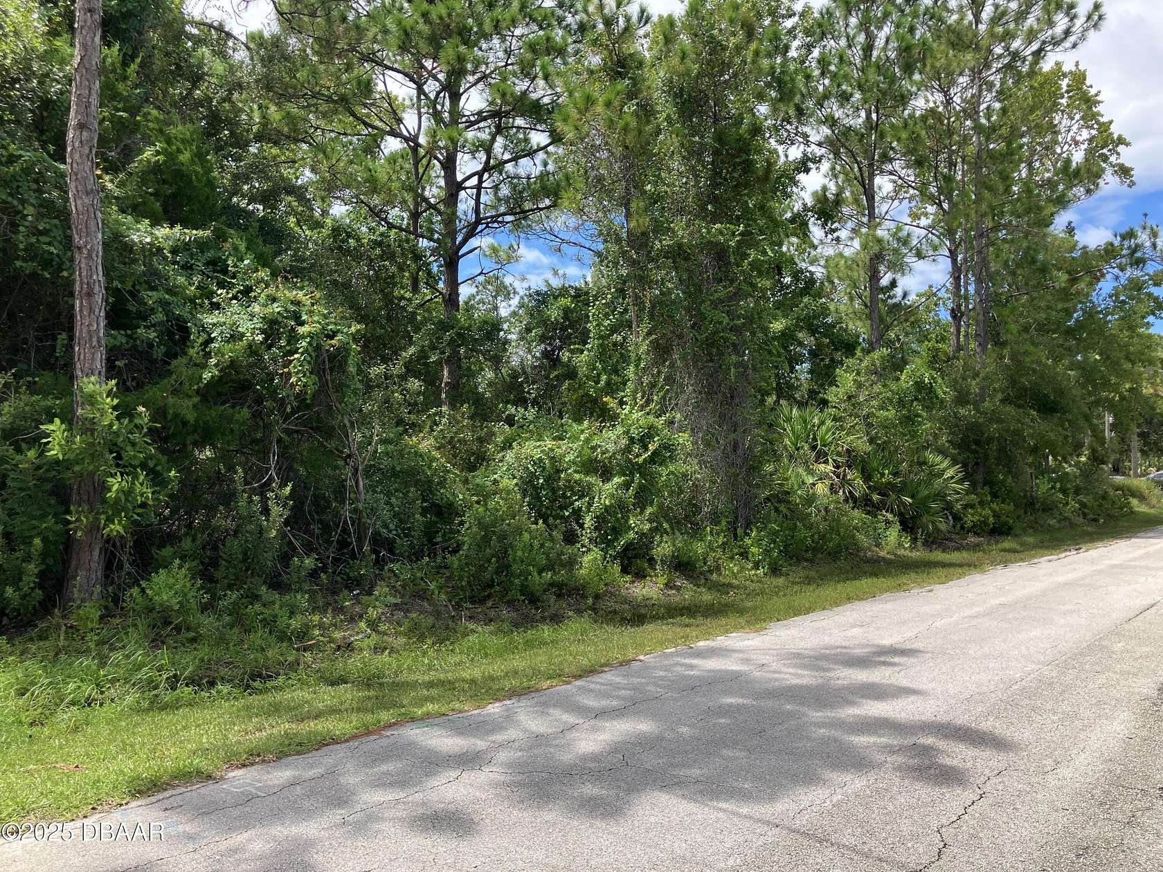 0.23 Acres of Residential Land for Sale in Palm Coast, Florida