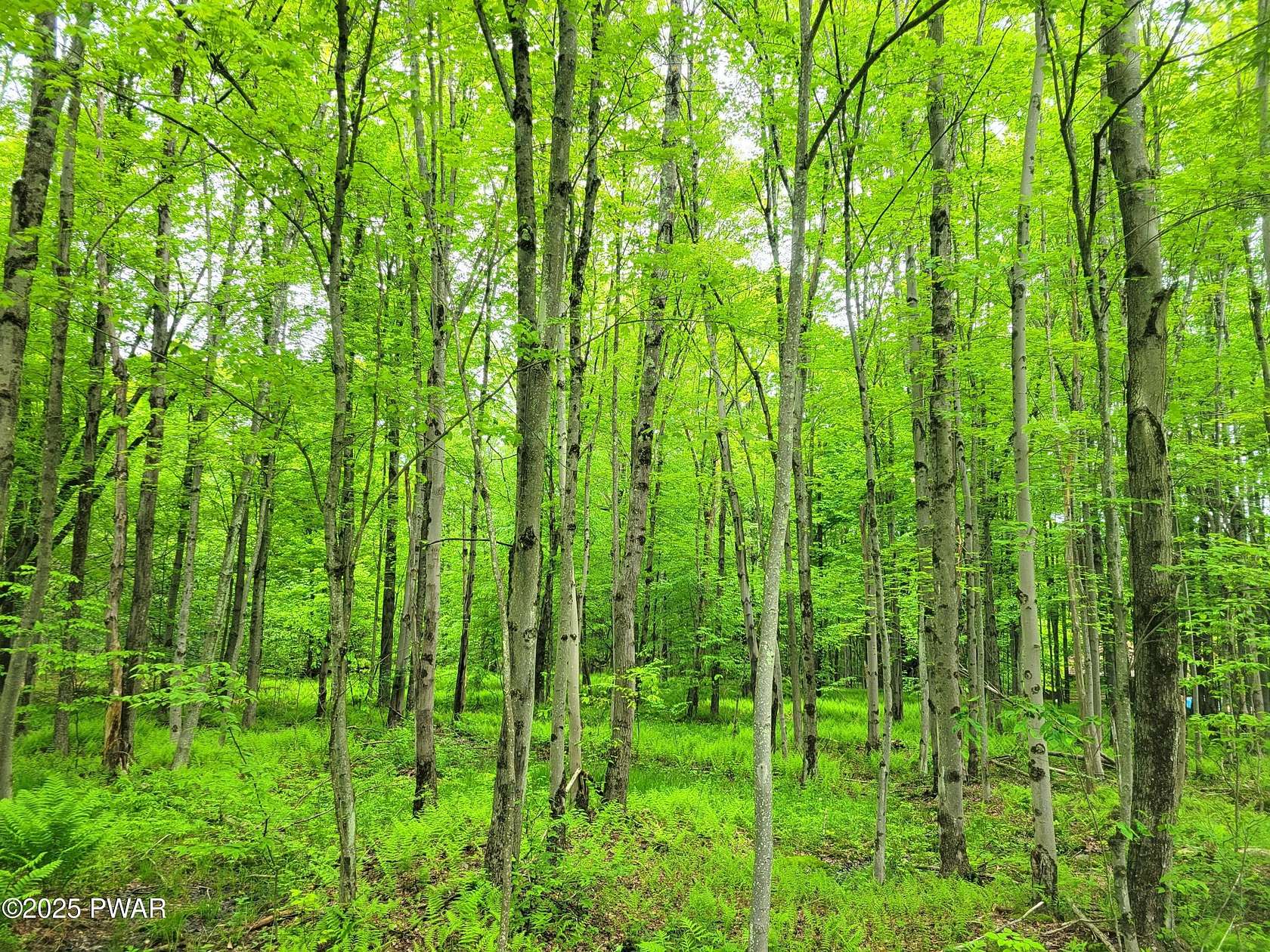 2 Acres of Residential Land for Sale in Newfoundland, Pennsylvania