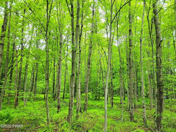 2 Acres of Residential Land for Sale in Newfoundland, Pennsylvania