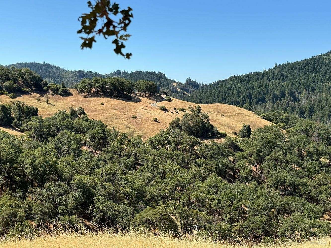 156 Acres of Recreational Land for Sale in Redwood Valley, California