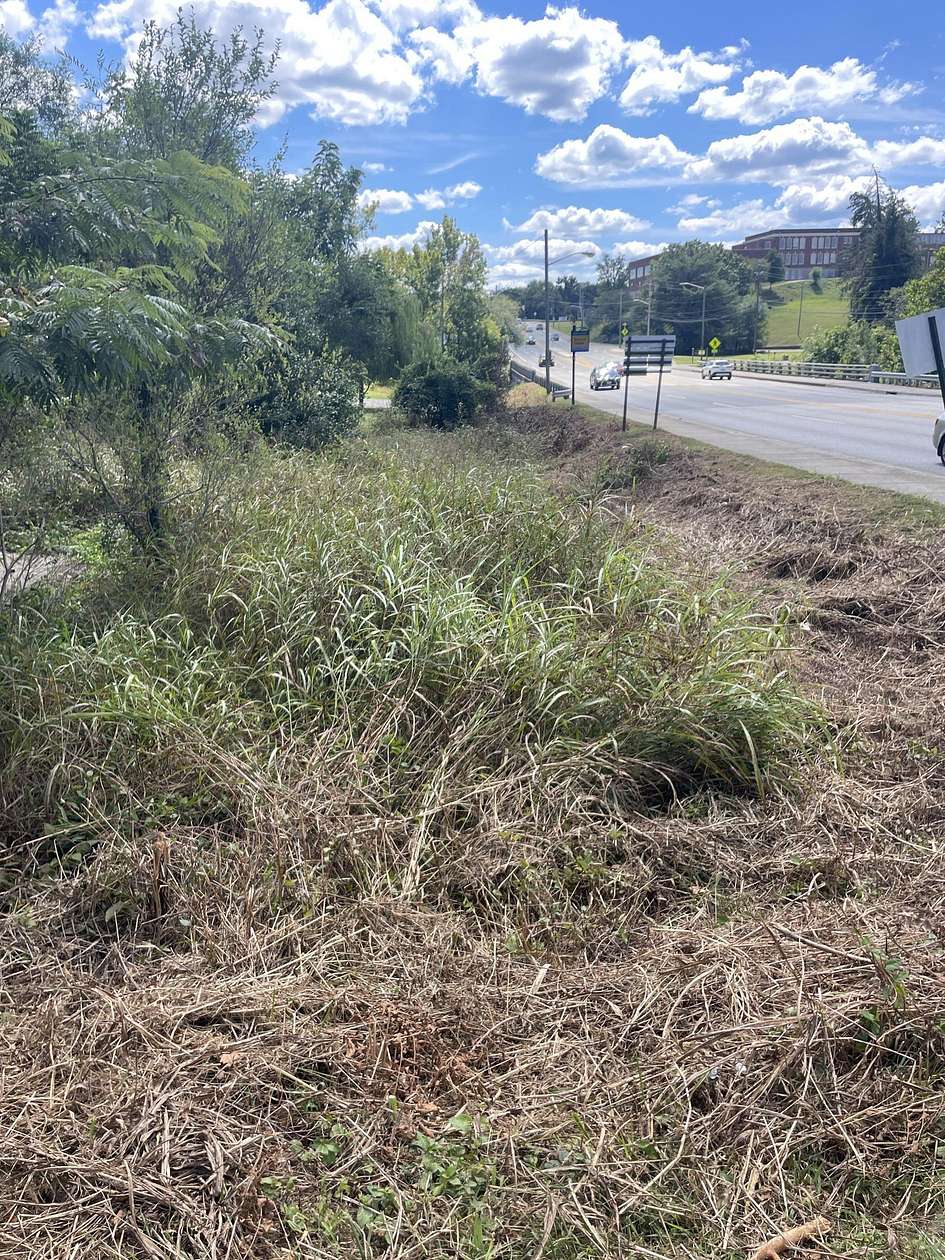 0.28 Acres of Land for Sale in Roanoke, Virginia