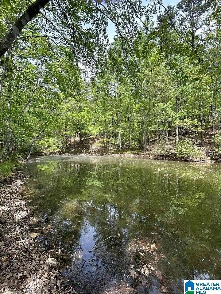 1.46 Acres of Residential Land for Sale in Wedowee, Alabama