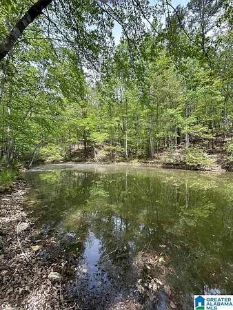 1.46 Acres of Residential Land for Sale in Wedowee, Alabama