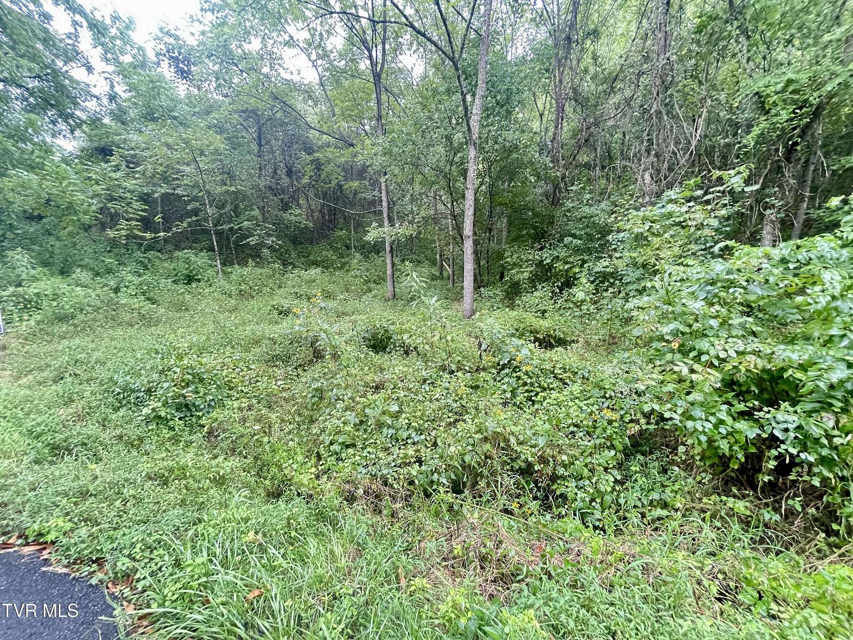 5.56 Acres of Land for Sale in Greeneville, Tennessee
