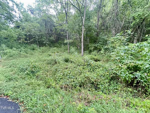 5.56 Acres of Land for Sale in Greeneville, Tennessee