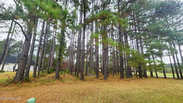 0.09 Acres of Residential Land for Sale in Natchez, Mississippi