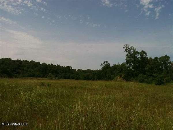 37.5 Acres of Land for Sale in Natchez, Mississippi