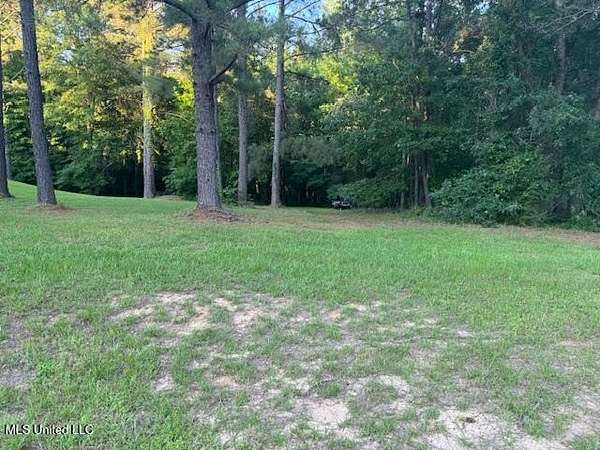 2.5 Acres of Residential Land for Sale in Natchez, Mississippi