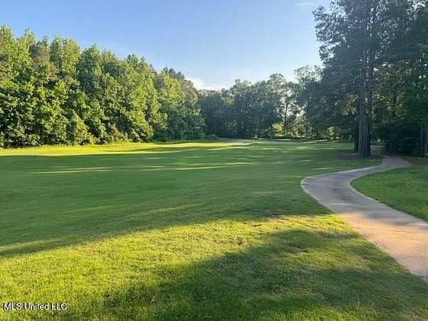 40 Acres of Land for Sale in Natchez, Mississippi