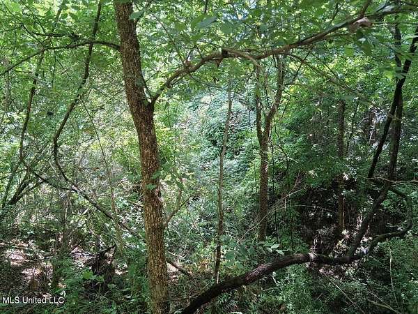 1.3 Acres of Land for Sale in Natchez, Mississippi