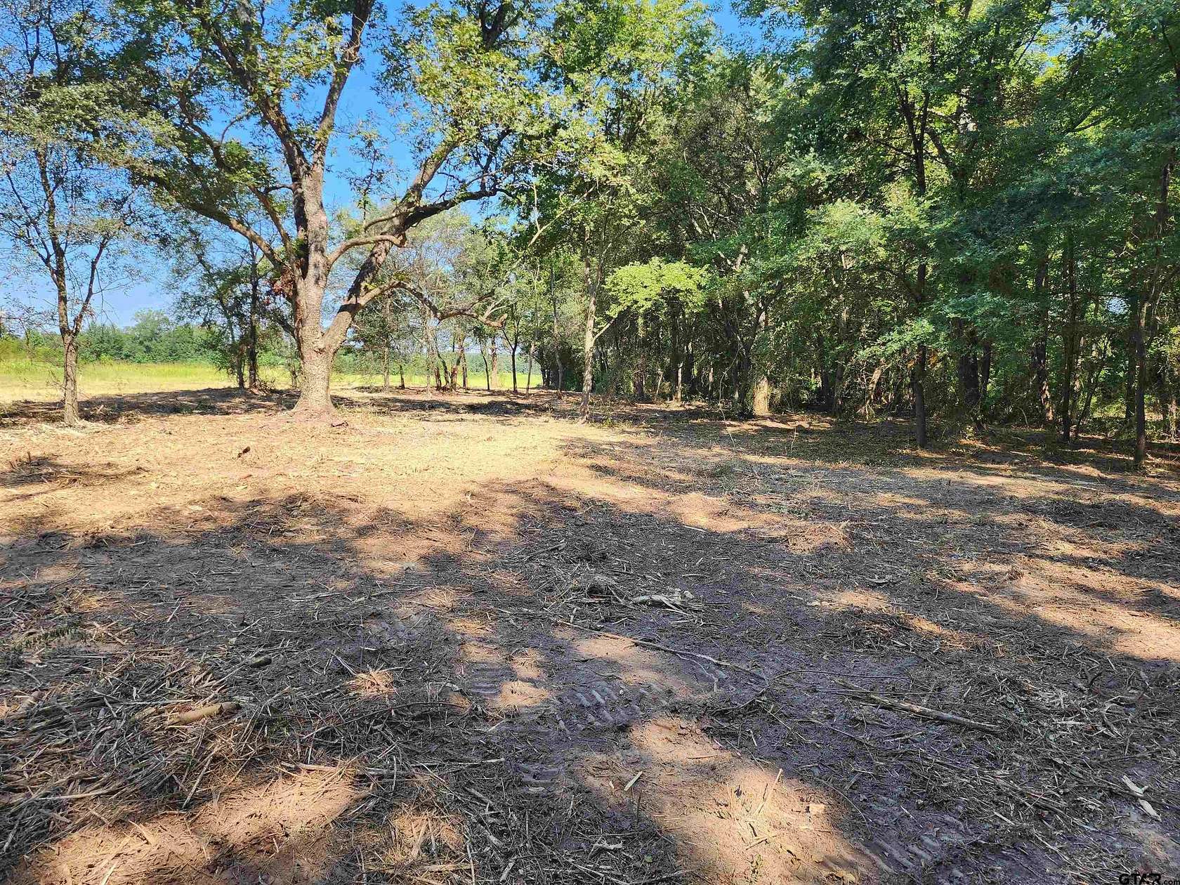 6.12 Acres of Residential Land for Sale in Pittsburg, Texas