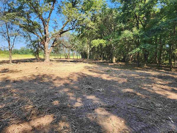 6.12 Acres of Residential Land for Sale in Pittsburg, Texas