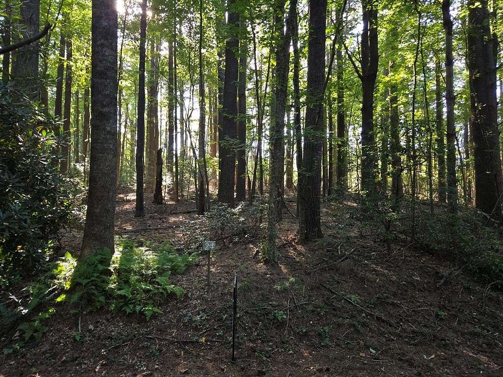1 Acre of Land for Sale in Fancy Gap, Virginia