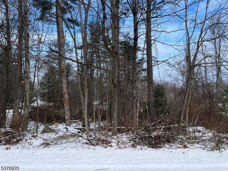 0.38 Acres of Residential Land for Sale in Montague Township, New Jersey