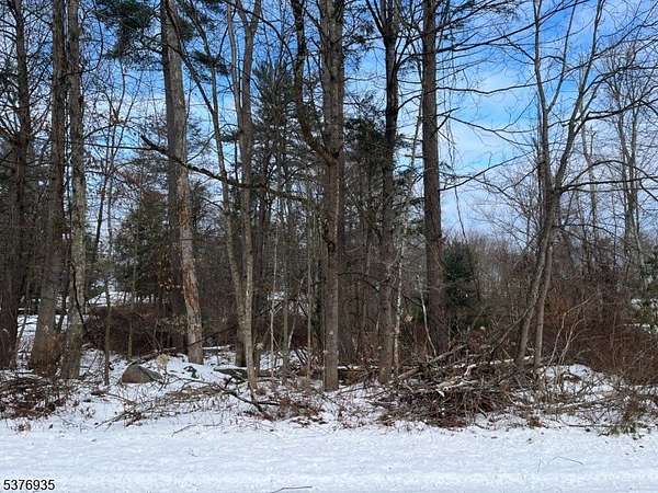 0.38 Acres of Residential Land for Sale in Montague Township, New Jersey