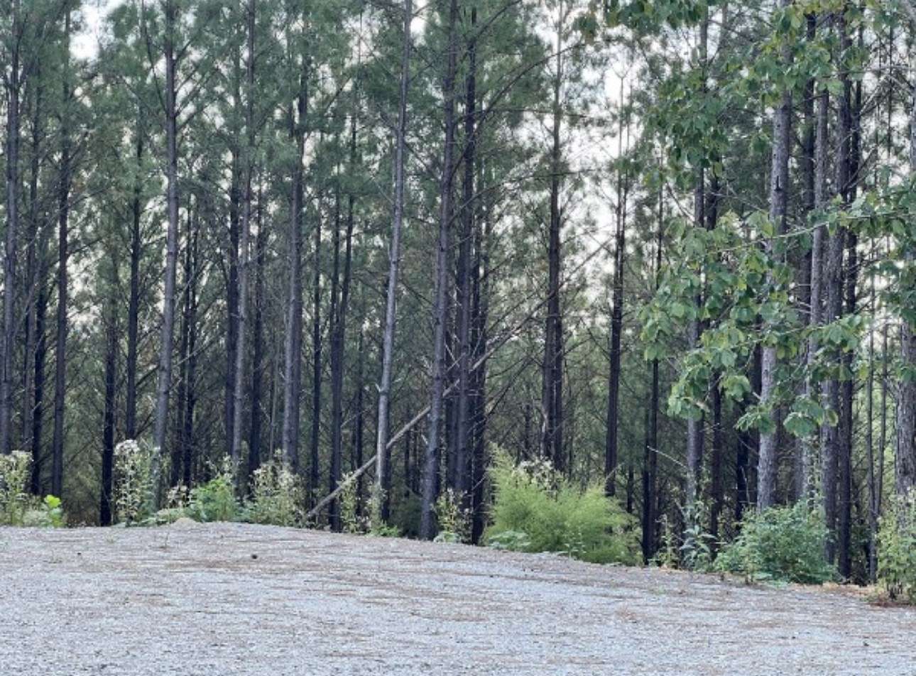 10 Acres of Residential Land for Sale in Linden, Tennessee